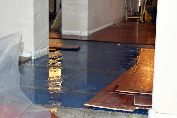 Professional Burst Pipe Cleanup technician working in Anahuac, TX